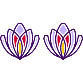niida saffraan logo