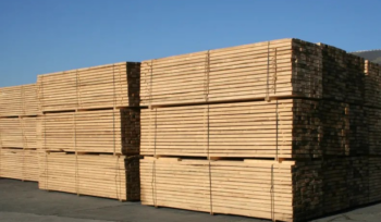 vS INVEST nv staat voor import en export van hout.